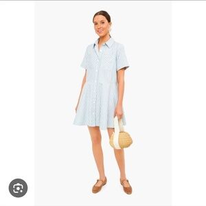 Tuckernuck green and white Celadon dress size small